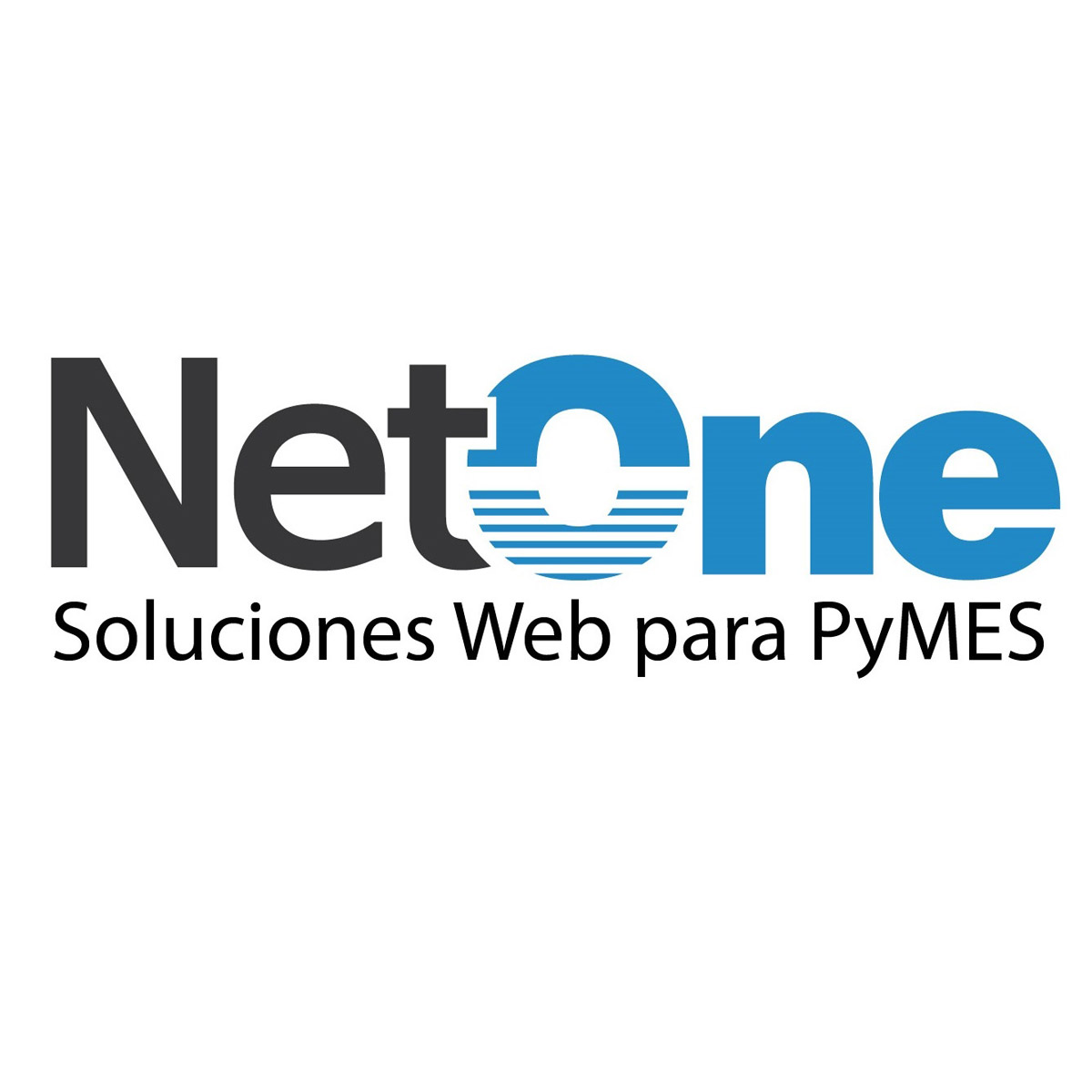 NetOne Soluciones Web para PyMES.